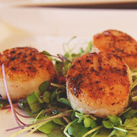 Seared Cleggan Scallops at Oliver's Restaurant